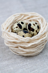 Three quail eggs in the nest with the thread