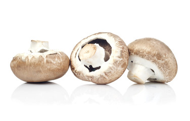 fresh mushroom champignon isolated on white background