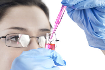 Young female scientist working at the laboratory