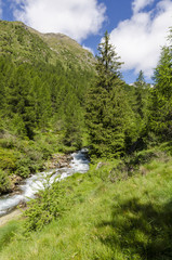 Fototapeta na wymiar Alpejskie łąki w lecie w górach w północnych Włoszech