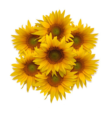 Sunflowers in the shape of a circle