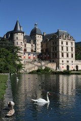 Cygne sur le lac du Chateau de Vizille