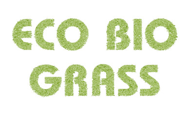 Fototapeta na wymiar eco bio grass