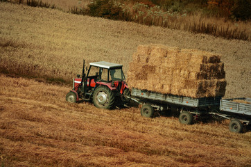 Fototapeta na wymiar Tractor collecting straw in the field