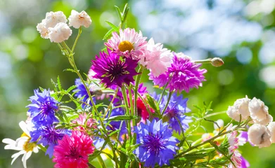 Tableaux ronds sur plexiglas Marguerites Colorful summer wild flowers bouquet in the sunshine