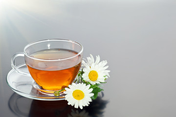 Transparent cup with green tea and fresh herbal bouquet