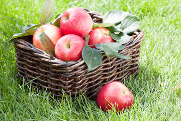 Fresh ripe red apples