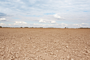 rural landscape