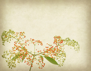 Bunch of yellow rowan on grunge textured background