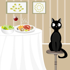 Black cat looking for food