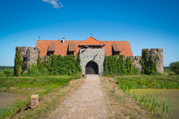 Fototapeta na wymiar Old castle in Kiermusy