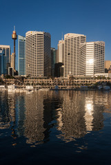 Fototapeta na wymiar wieżowce w Darling Harbour, Sydney