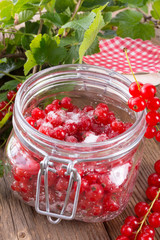 sugared red currant