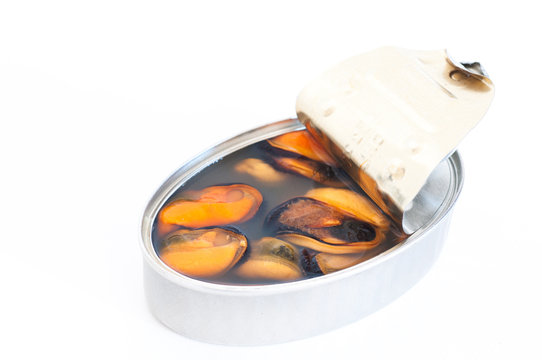 Canned mussel