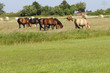 110_F_55108758_AWcRjMmk5kCu3PDNMYh6fzEOlUqWfIOf.jpg