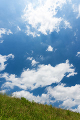 Obraz premium 草原と夏空