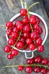 red currant on wooden background