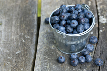 blueberries in a metallic bucket