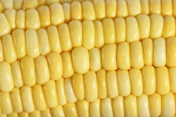 Corn