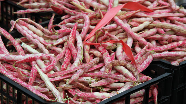 box with many fresh beans like borlotto for sale at the market
