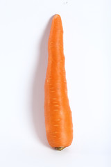 carrot