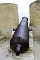 Cannon at Fortress