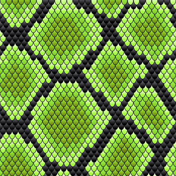 Green seamless pattern of reptile skin
