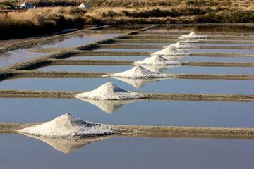 marais salants avec gros sel &agrave; Gu&eacute;rande et paludier