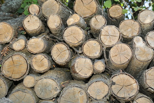 Yakacak Odun