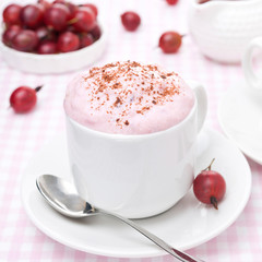 mousse of red gooseberry and whipped cream