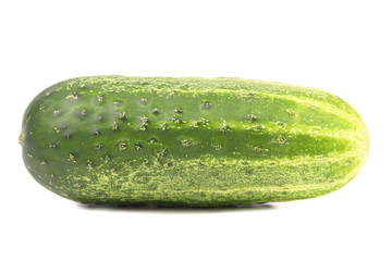 Fresh green cucumber