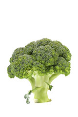 Fresh healthy brocoli