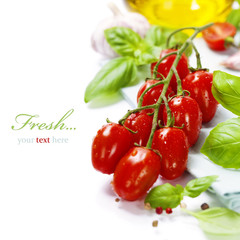 fresh tomatoes