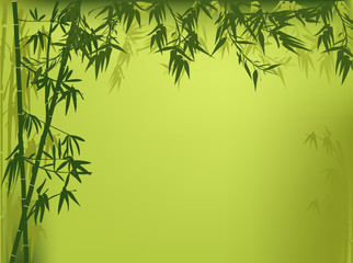 green color bamboo illustration - obrazy, fototapety, plakaty