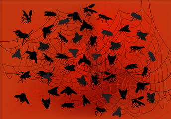 fly silhouettes and spider web on red