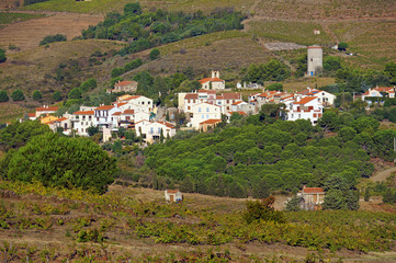 Mediterranean village with fields of vineyard