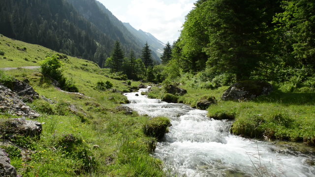 Zillertal Alps stream water though forest and mountains