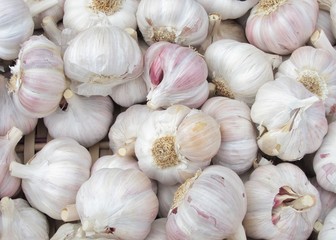 Fresh garlic at market