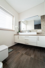 Fototapeta na wymiar Bright bathroom with sink and wc