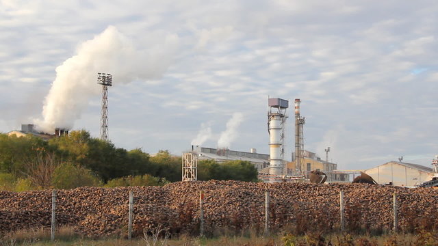 Sugar refinery - Industrial buildings exterior