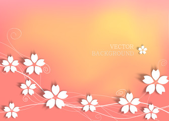 white cherry blossom on pink background