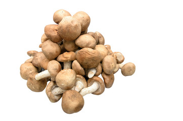 pile of Fresh Shiitake Mushrooms
