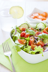 fresh green salad with lettuce, cucumber, tomato and red onion.