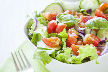 fresh green salad with lettuce, cucumber, tomato and red onion.