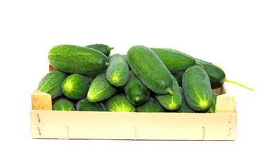 Fresh cucumbers in a box