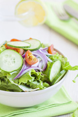 fresh green salad with cucumber, tomato and red onion.