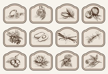 ingredients for natural cosmetics