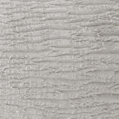 Tree texture