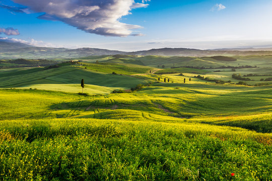 Green valley at sunset in Tuscany