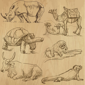 Animals around the World (part 6). Collection of hand drawings.
